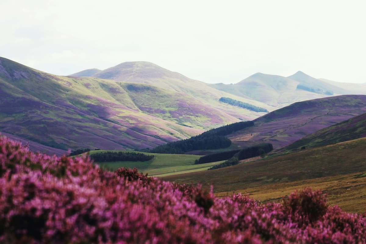 Footer background
