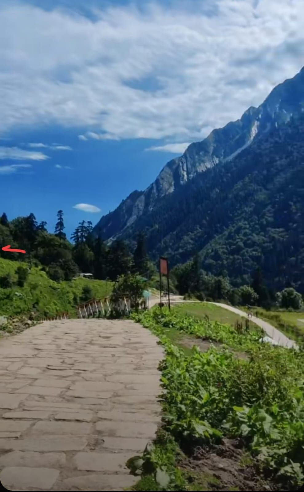 Camping near Satopanth Lake