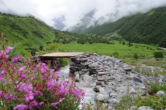 Trekking trail to Satopanth